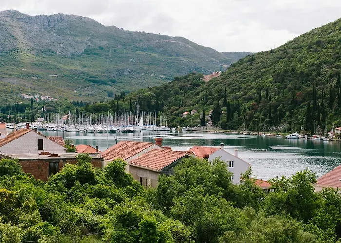 Dubravka Apartment Mokosica